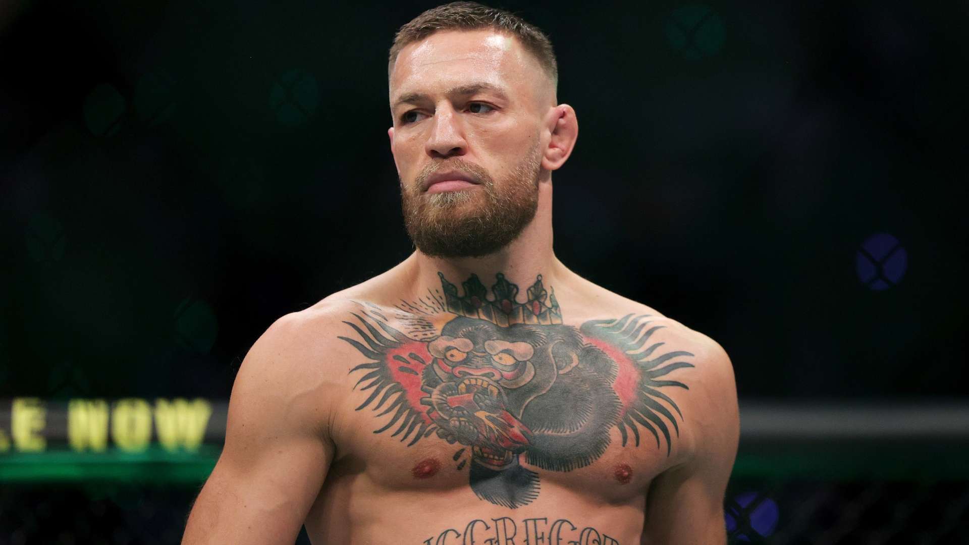 不得不提及 不得不提及